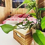 Residenze Vezza - La Corteccia- *