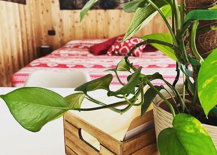 Residenze Vezza - La Corteccia- *
