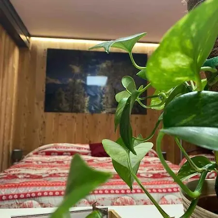 Residenze Vezza - La Corteccia-