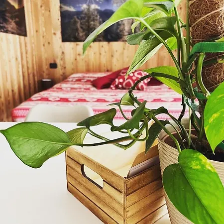 Residenze Vezza - La Corteccia- *